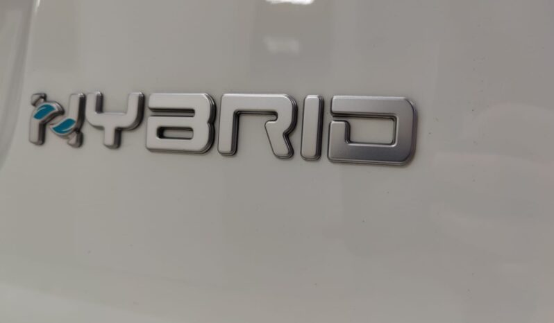 Fiat Panda 1.0 FireFly Hybrid EURO 6D pieno