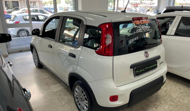 Fiat Panda 1.0 FireFly Hybrid EURO 6D pieno